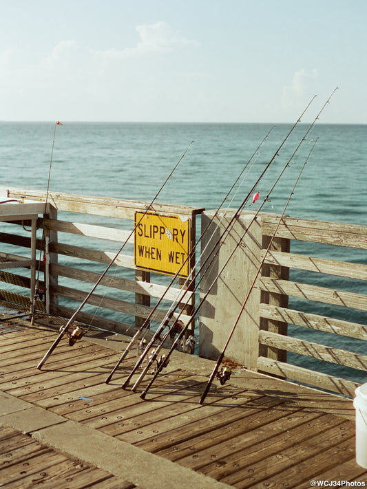 CineStill 50D