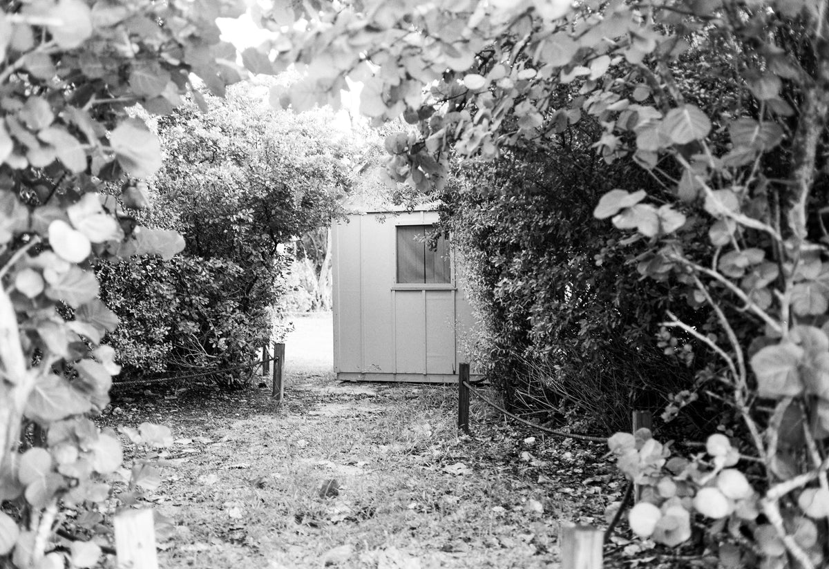 Ilford HP5 Plus 400 — 120