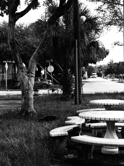 REFLX LAB PAN200 INFRARED- 220