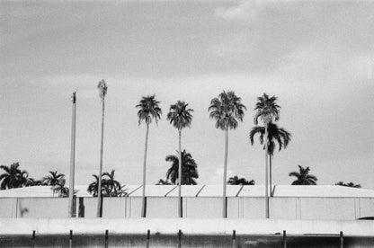 Foma Fomapan 400