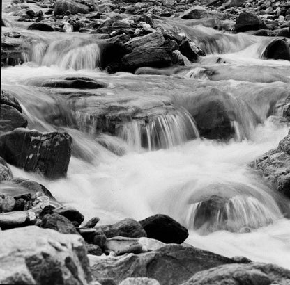 Lady Grey B&W 120 ISO 400