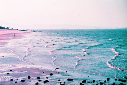 2021 LomoChrome Purple Pétillant 120 ISO 100–400
