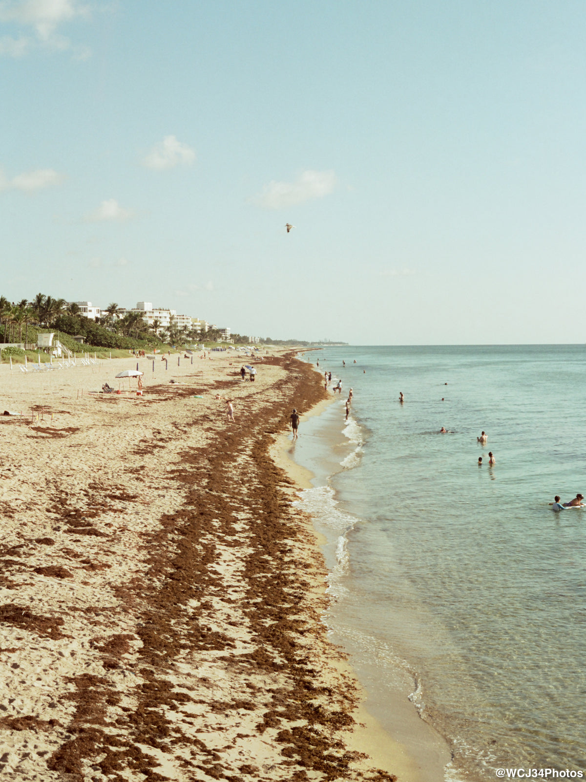CineStill 50D