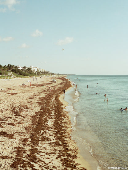 CineStill 50D