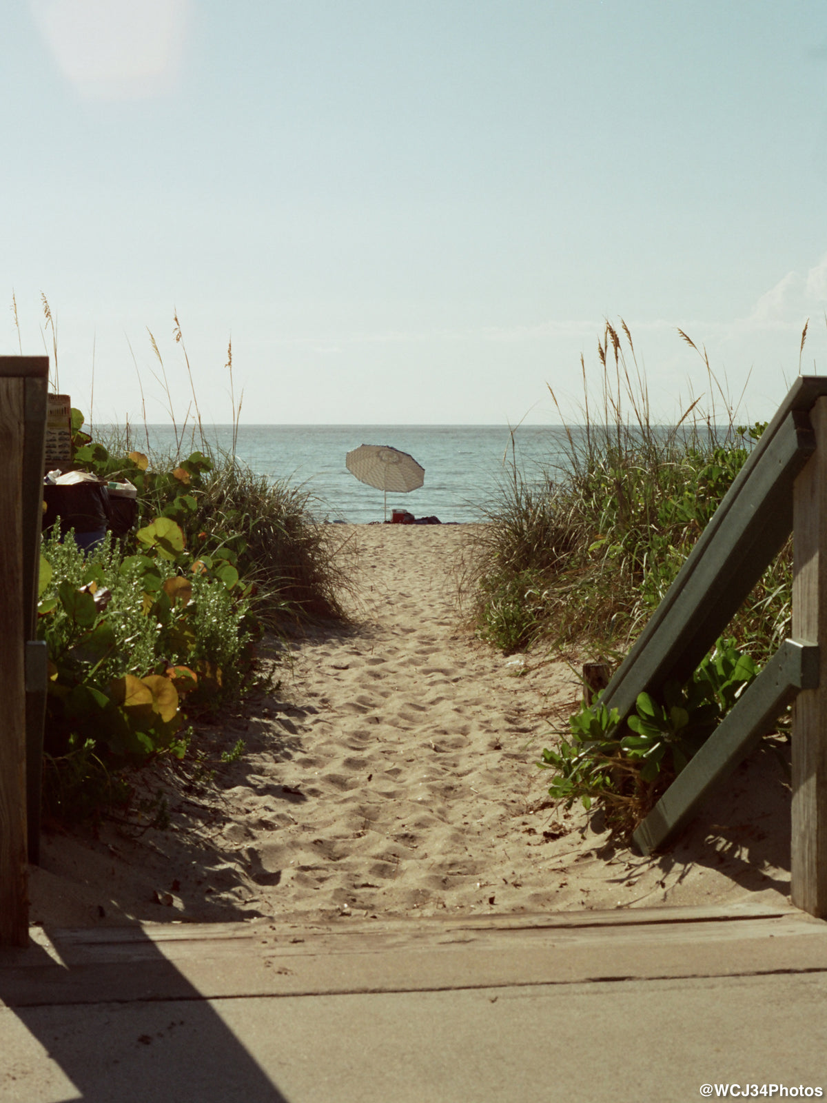 CineStill 50D