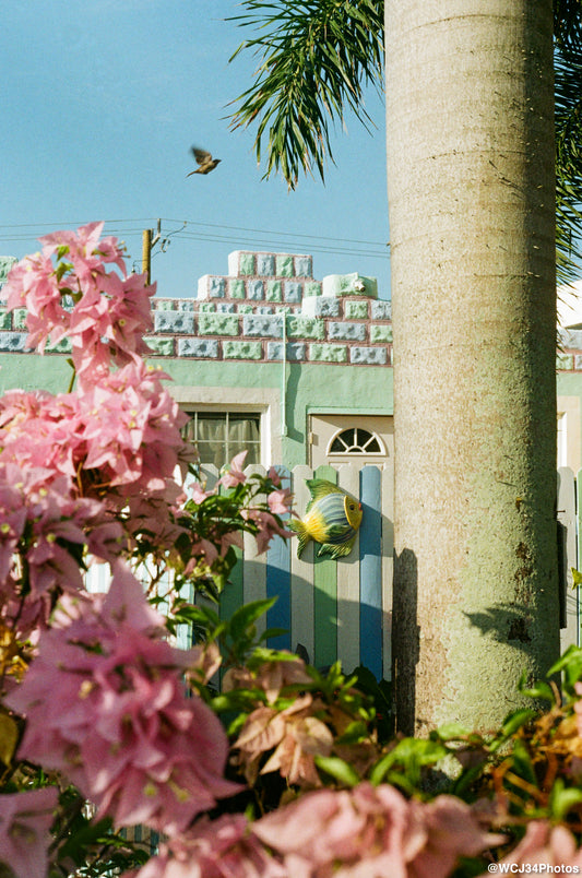 Kodak ColorPlus 200
