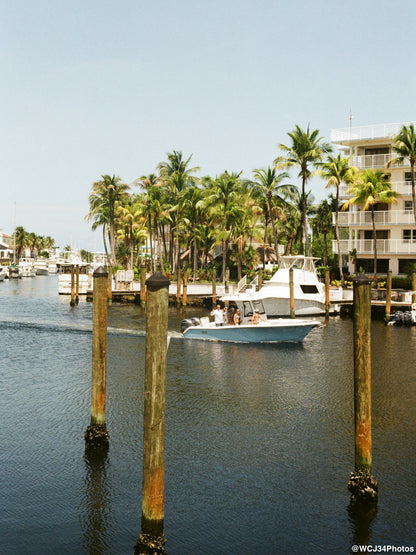 Kodak Gold 200
