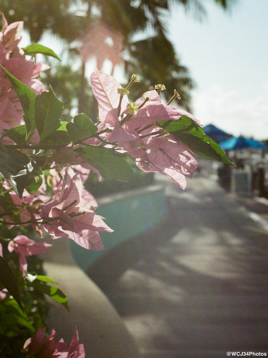 Kodak UltraMax 400
