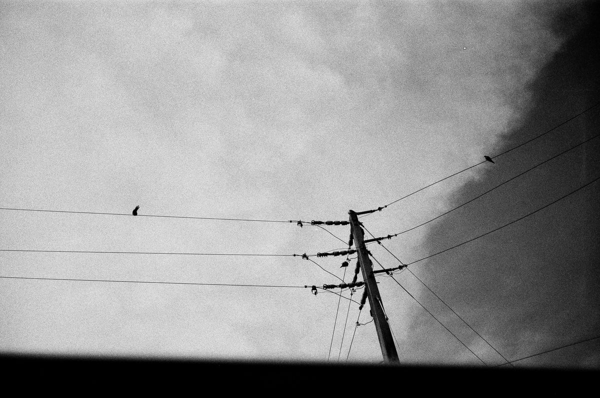 Ilford FP4+ 125 ISO 24exp