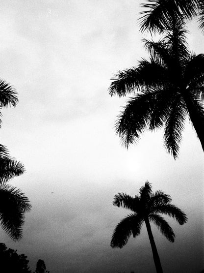 Ilford FP4+ 125 ISO 24exp